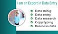 do fast and accurate data entry, data mining, web research