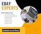 setup fix manage ebay seller account professionslly