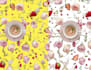 cut out images, background removal professionally
