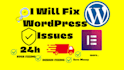 fix wordpress issues, errors, bugs, css, provide wp help