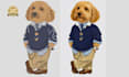 digitize custom portrait dst pes and 3d puff