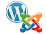 setup your pbn using wordpress or joomla