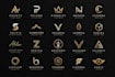 design a custom, unique and professional logo for you