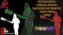 do professional rotoscoping,green screen remove,roto paint