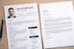 write a job winning european CV and cover letter