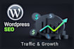 provide professional SEO for UK wordpress websites