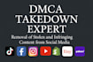 remove infringing copyrighted and stolen content under dmca