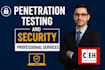 perform professional penetration testing and vulnerability assessment