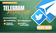 do telegram subscribers promotion