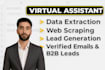 provide data extraction, web scraping, and lead generation