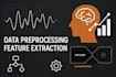 data preprocess and feature extraction and anything else