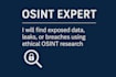find exposed data, leaks, or breaches using ethical osint research