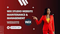 wix studio maintenance wix management wix optimization edit wix maintenance wix