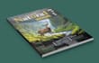 design magazine covers, layouts and ads