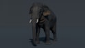 create professional 3d models, animations and renders