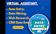 do excel data entry copy paste and web research