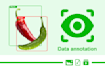 do image annotation, polygon, bounding box, and data labeling