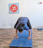 teach personalized online yoga classes for all levels