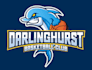 create a custom mascot dolphin basketball team logo design