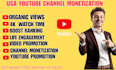 provide expert promotion services for your youtube channel