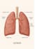 create 3d medical illustrations