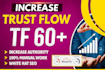 boost your website trust flow tf to 60plus