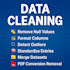 data cleaning formatting merge pdf conversion to word