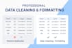 do excel data entry cleaning, and analysis