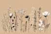 draw botanical illustration art for you