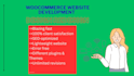 create an SEO optimized fast loading wordpress website development