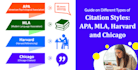 manage your business, IT and humanities courses
