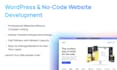 design, develop, and customize a professional wordpress website