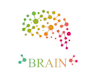design a creative and professional brain logo for your business