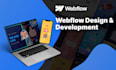 create webflow website design and figma to webflow, webflow developer