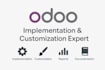implement and customize erp solutions for your business