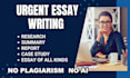 do urgent essay writing as an essay writer