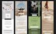design professional email templates in figma  design
