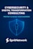 cybersecurity strategy consultant for enterprises and smes