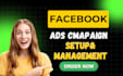 create and manage high ROI facebook ads campaigns