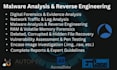 do malware analysis, reverse engineering, and threat detection