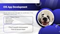 build a responsive mobile app for ios