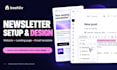 set up beehiiv newsletter, design beehiiv website, beehiiv newsletter, beehive