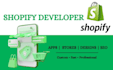 shopify public app shopify custom app shopify private app shopify developer pos