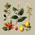 do botanical and animal designs and patterns for you