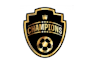 create a awesome modern championship logo