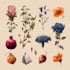 do botanical and anatomical scientific illustrations