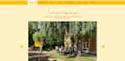 design and develop SEO friendly wordpress websites