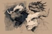 do sketch of your monsters and creatures