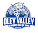 do professional modern athletic hall logo design