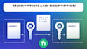 do encryption and decryption services for your data